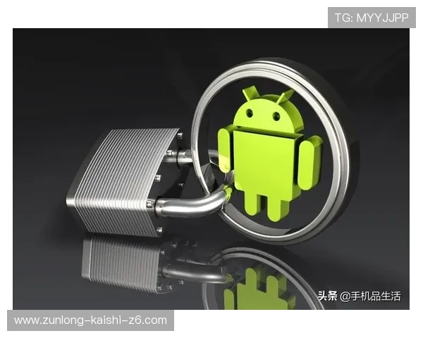 揭秘尊龙z6.com的登录流程，提升用户体验与安全性